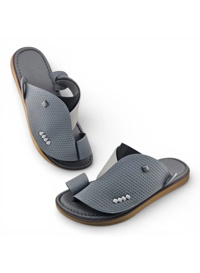 الفانوس الفانوس: سيغنتشر رويال